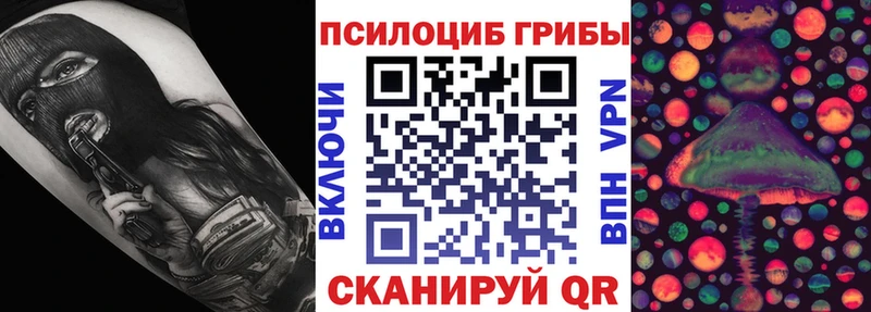 цена   Шебекино  Псилоцибиновые грибы GOLDEN TEACHER 